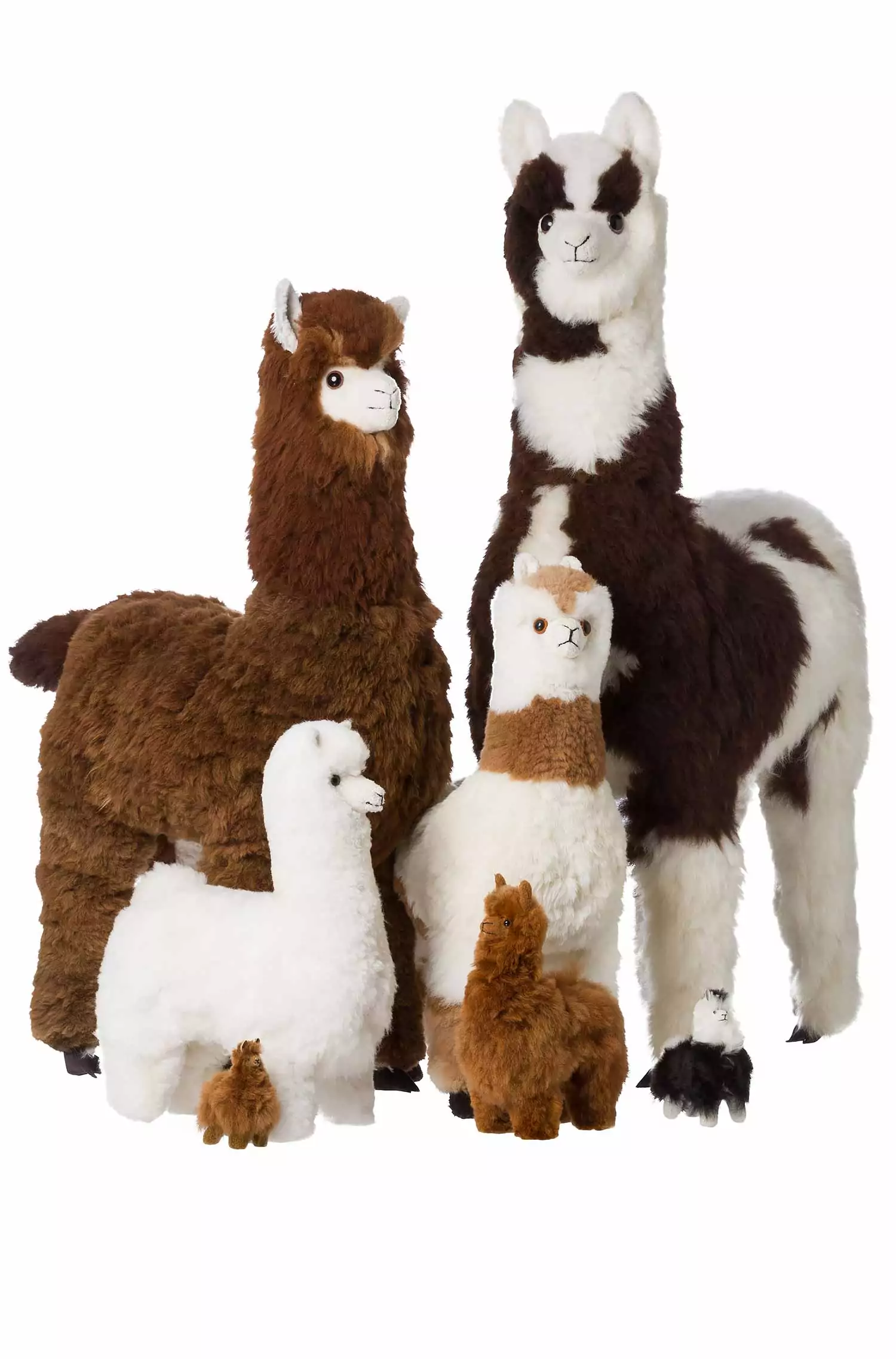 Per rundvlees van mening zijn Alpaca COZY FURIOUS ANIMAL (130cm) made of alpaca fur
